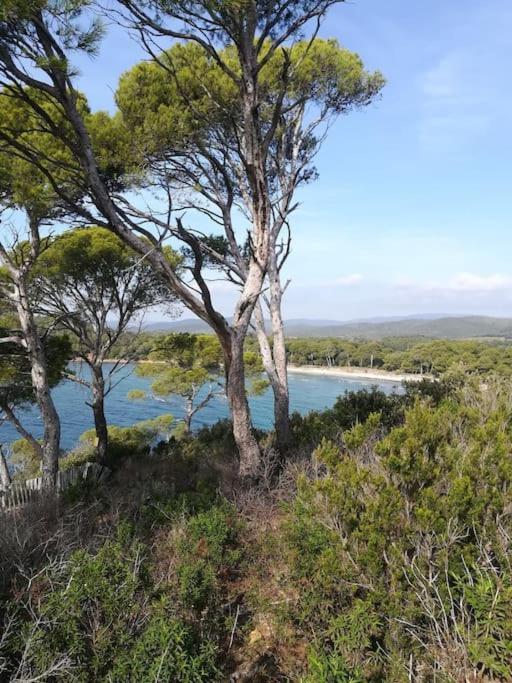 Les Jardins Du Luxembourg Apartment Hyeres Luaran gambar